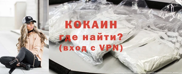 прущие грибы Богородицк