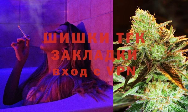 прущие грибы Богородицк