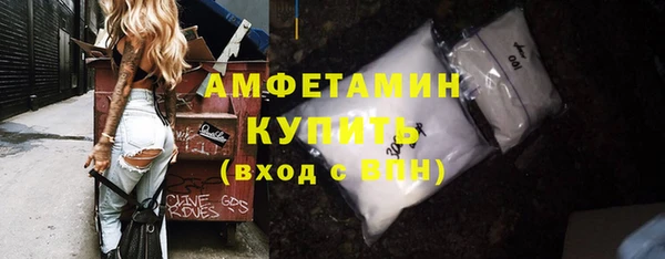 сатива Богданович