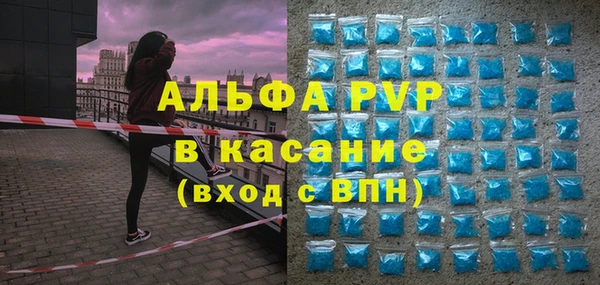 сатива Богданович