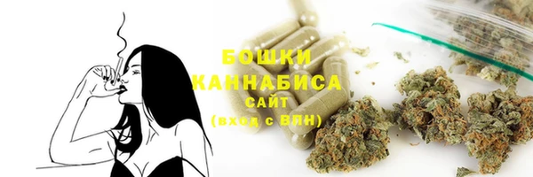 прущие грибы Богородицк