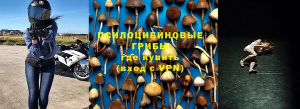 прущие грибы Богородицк