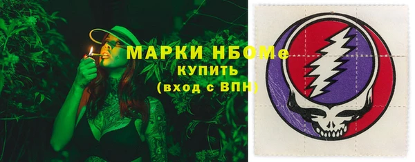 прущие грибы Богородицк