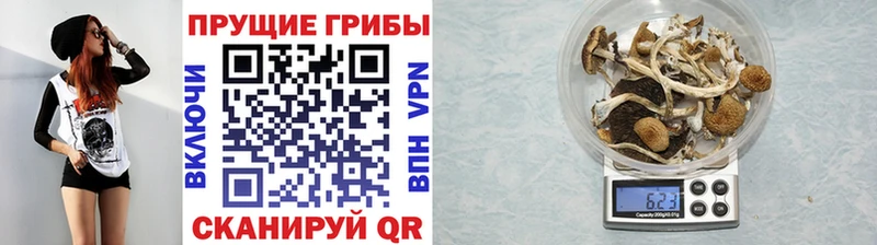 Псилоцибиновые грибы MAGIC MUSHROOMS закладка Зарайск